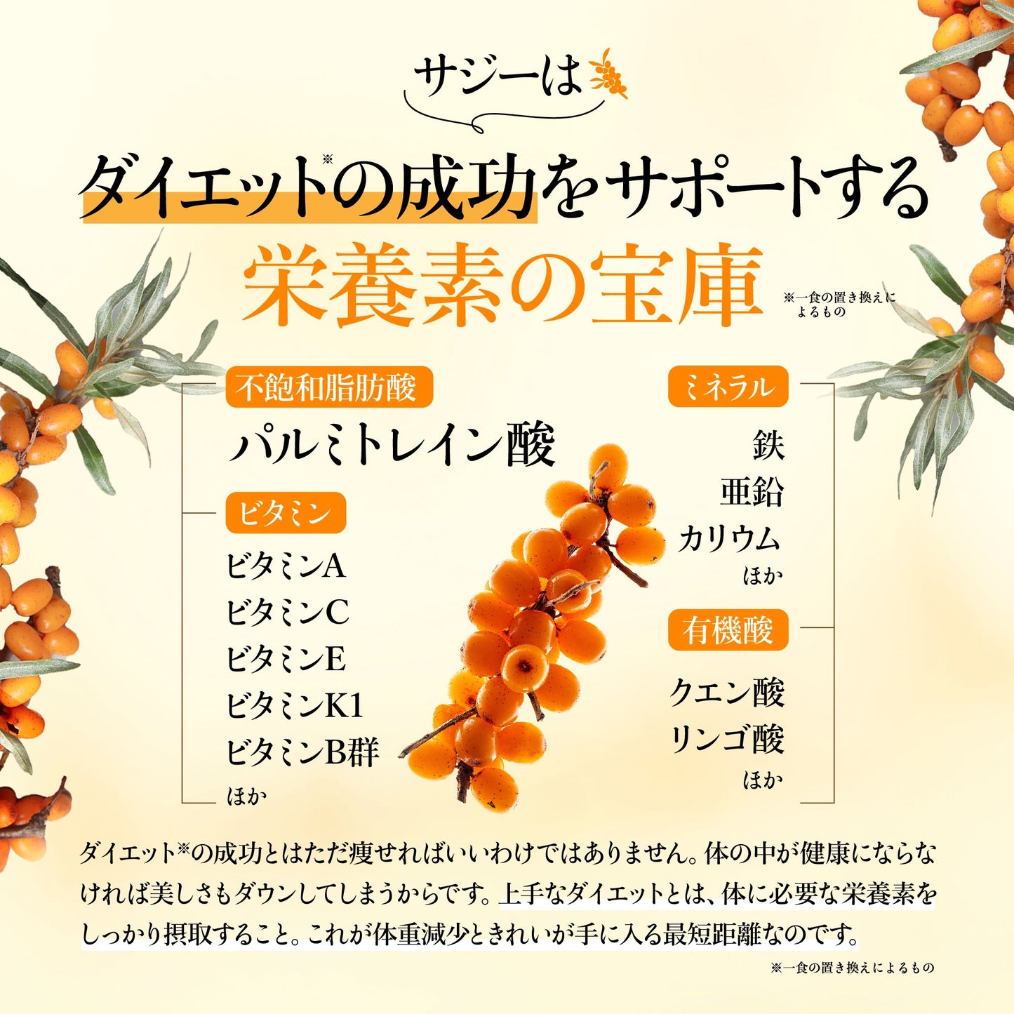 【在庫限り】千年サジー